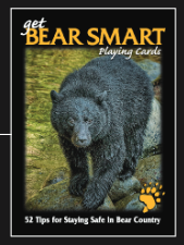 Photographic Playing Cards - Bear Smart