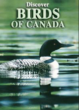 Playing Cards - Birds of Canada