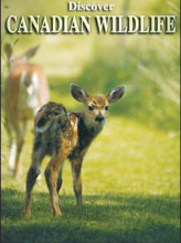 Playing Cards - Canadian Wildlife