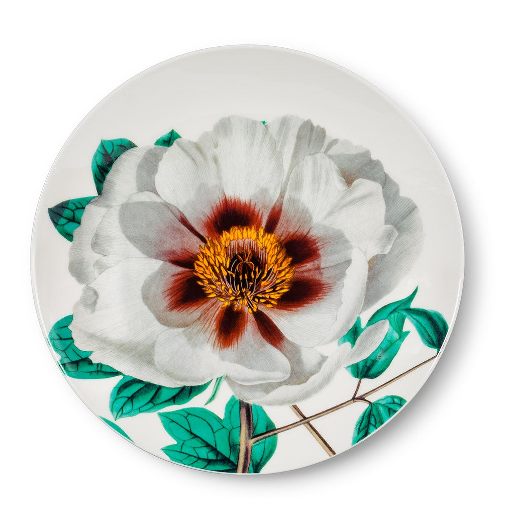 Extra Large Bloom Small Plate White/Green