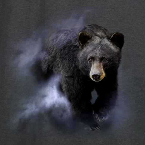 Harlequin T - Black Bear in Mist
