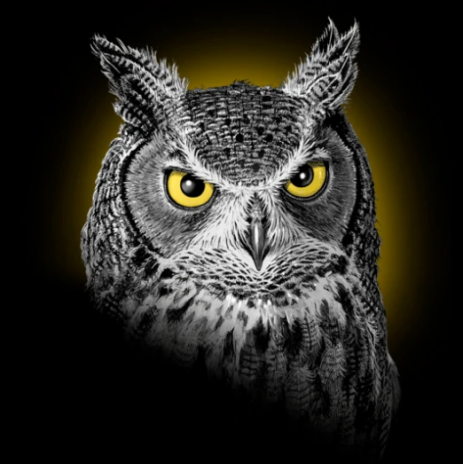 Harlequin T - Owl