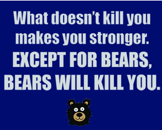 Harlequin T - Bears Kill You