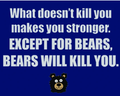 Harlequin T - Bears Kill You