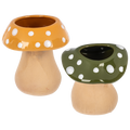 Planters - Mushrooms