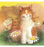 Coasters - Bella Flor