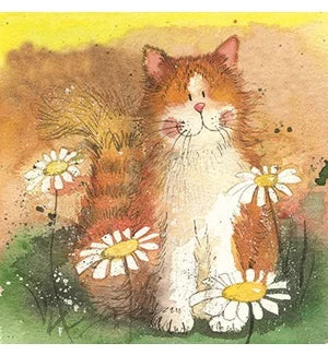 Coasters - Bella Flor