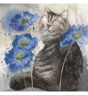 Coasters - Bella Flor