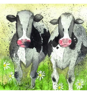 Coasters - Bella Flor