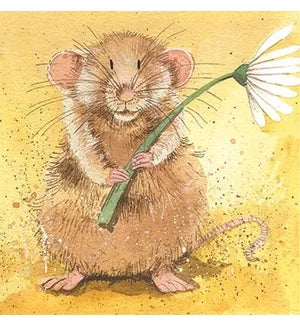 Coasters - Bella Flor