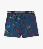 Hatley Kids Boxers - Various