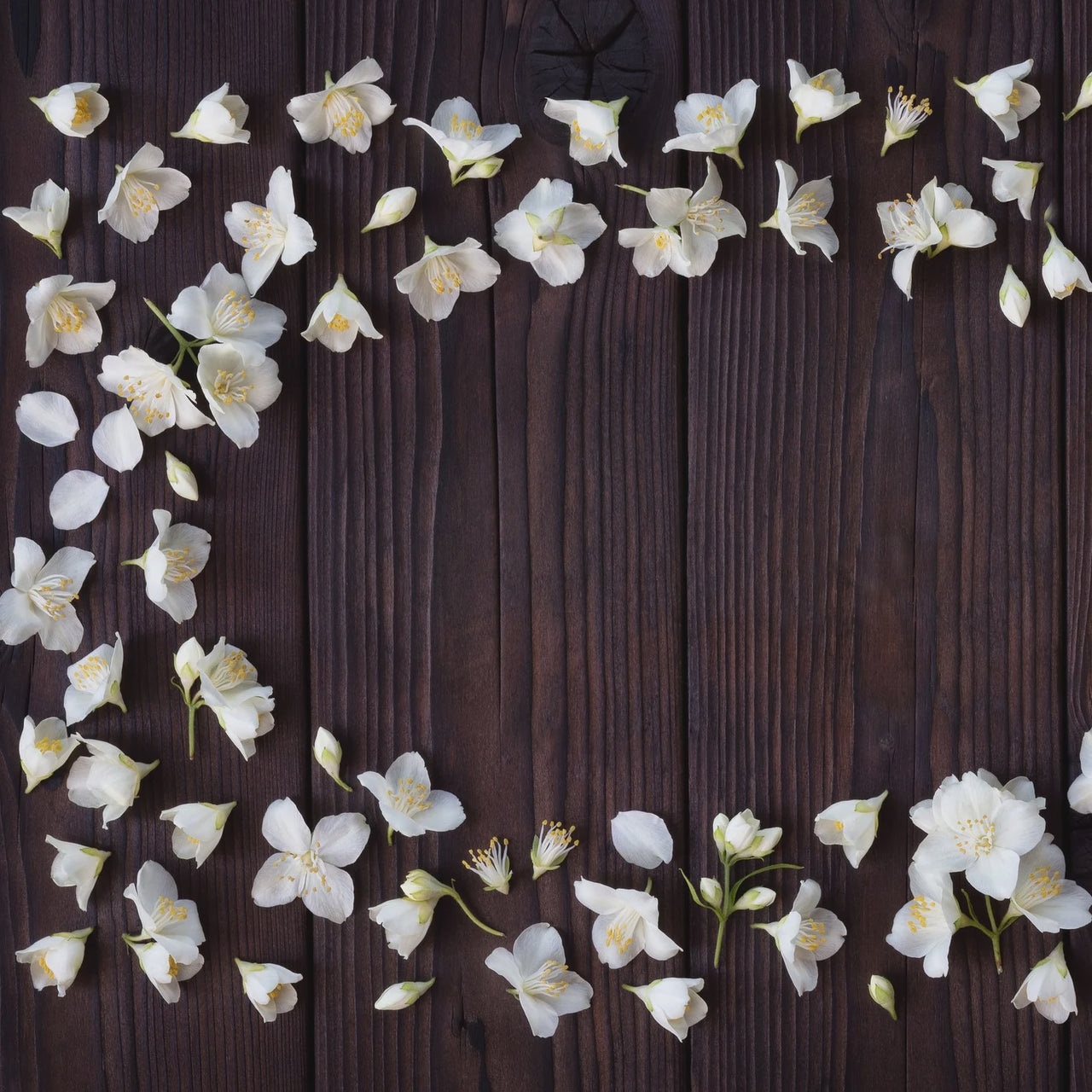 Essential Oils - Jasmine & Cedarwood