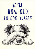 Bewilderbeest Greeting Cards