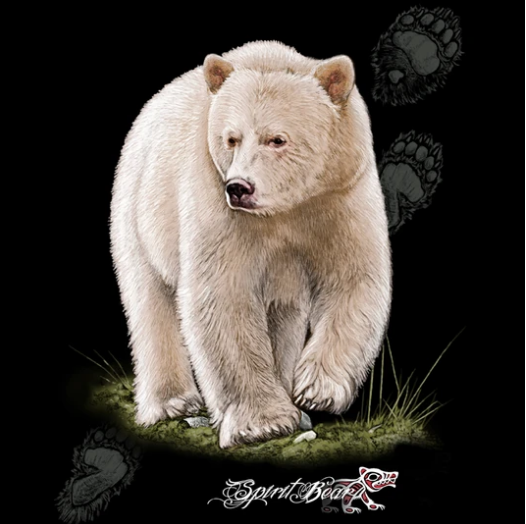Harlequin T - Spirit Bear