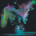 Harlequin T - Men's Wolf Light Show