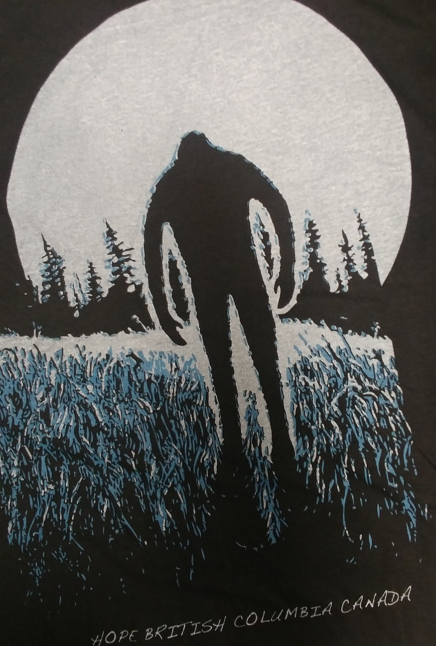 Men's T-Shirts - Sasquatch Moon