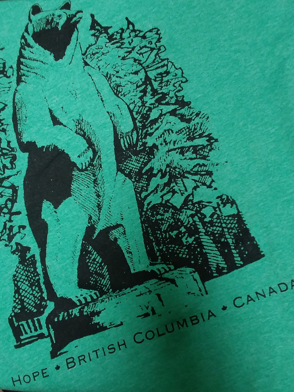 Men's T-Shirts - Bear Carving