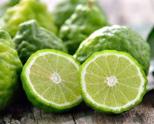 Essential Oils - Bergamot