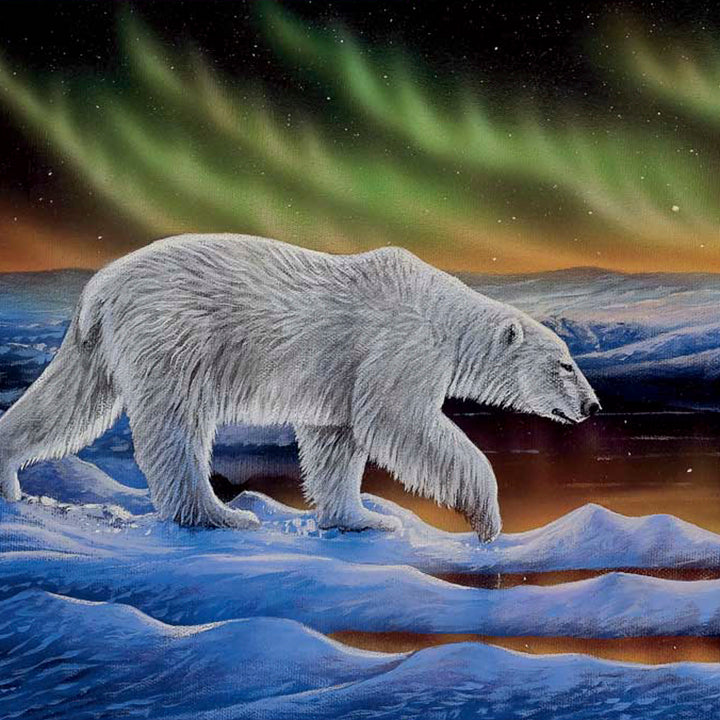 Indigenous Art Puzzles