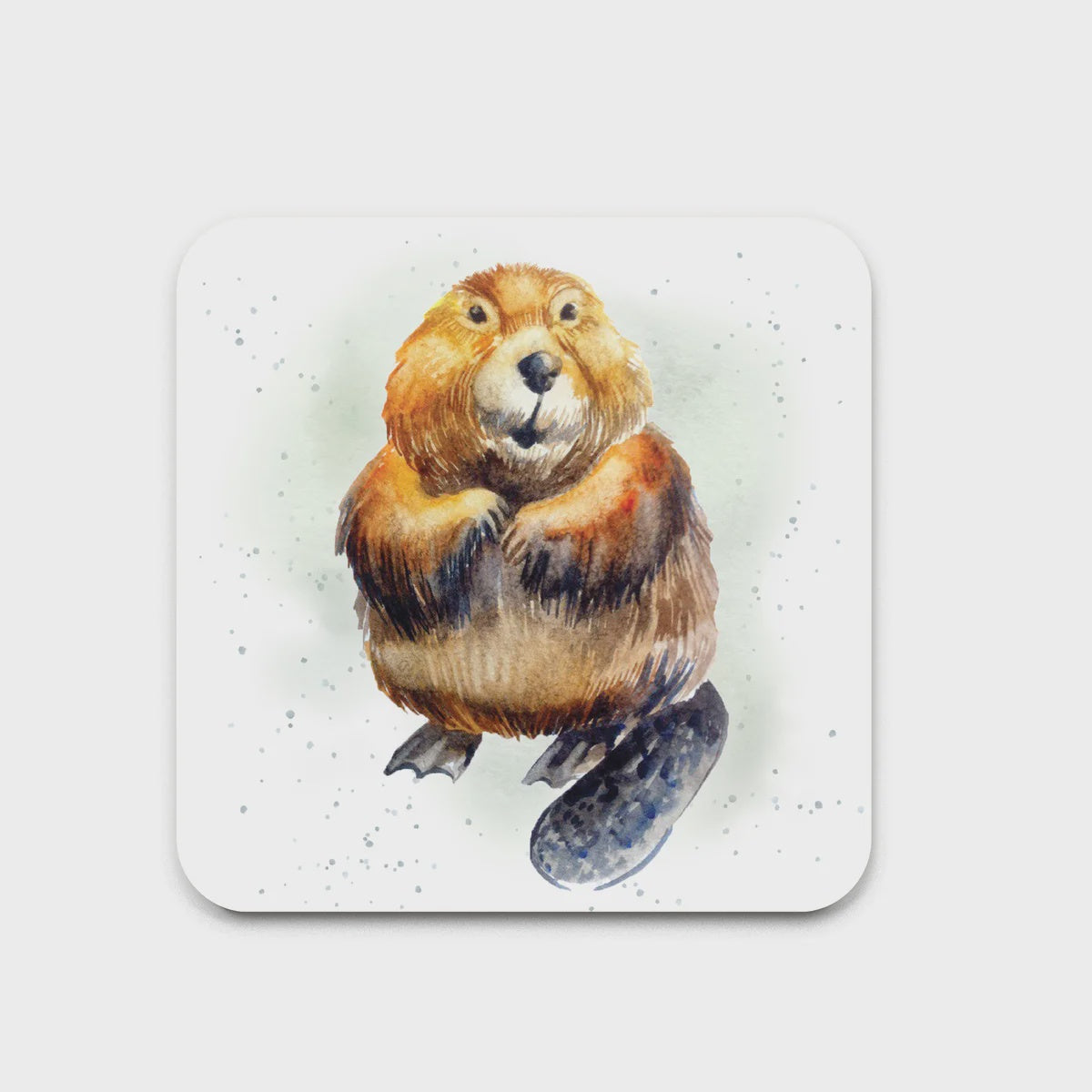 Coasters - Bella Flor