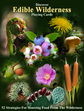 Playing Cards - Edible Wilderness