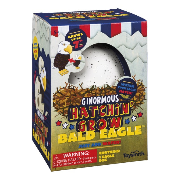 Hatchin' Grown Bald Eagle