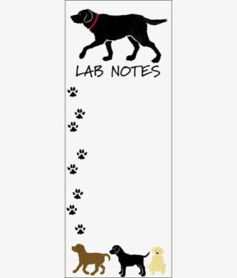 Magnetic List - Lab Notes