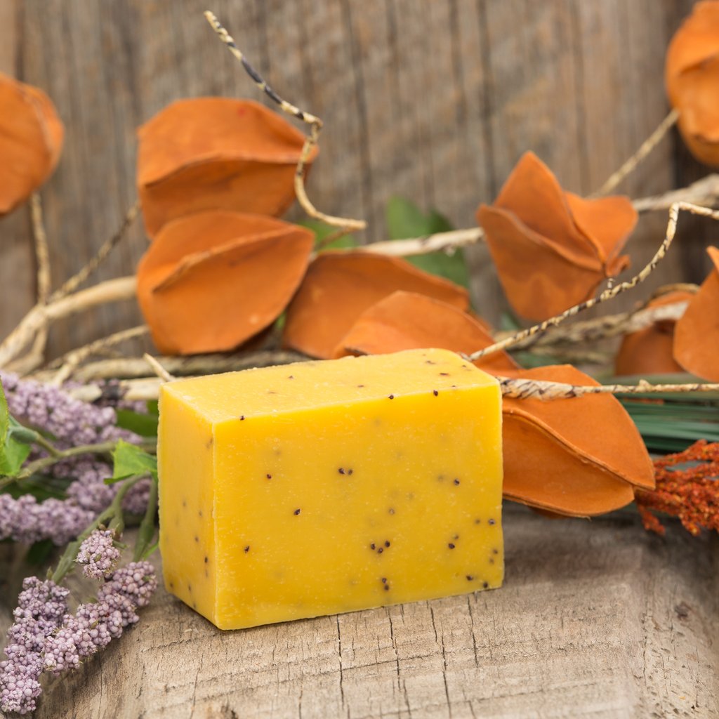 Bar Soap - Orange Cranberry