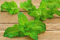 Essential Oils - Peppermint