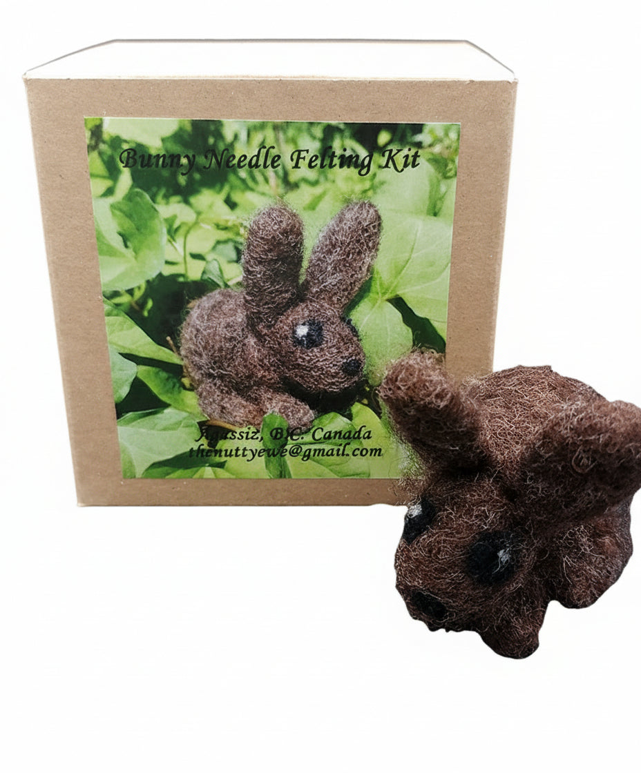 Felting Kit - Rabbit