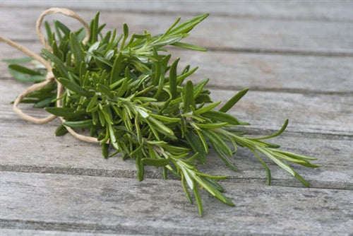 Essential Oils - Rosemary