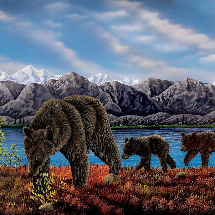 Indigenous Art Puzzles