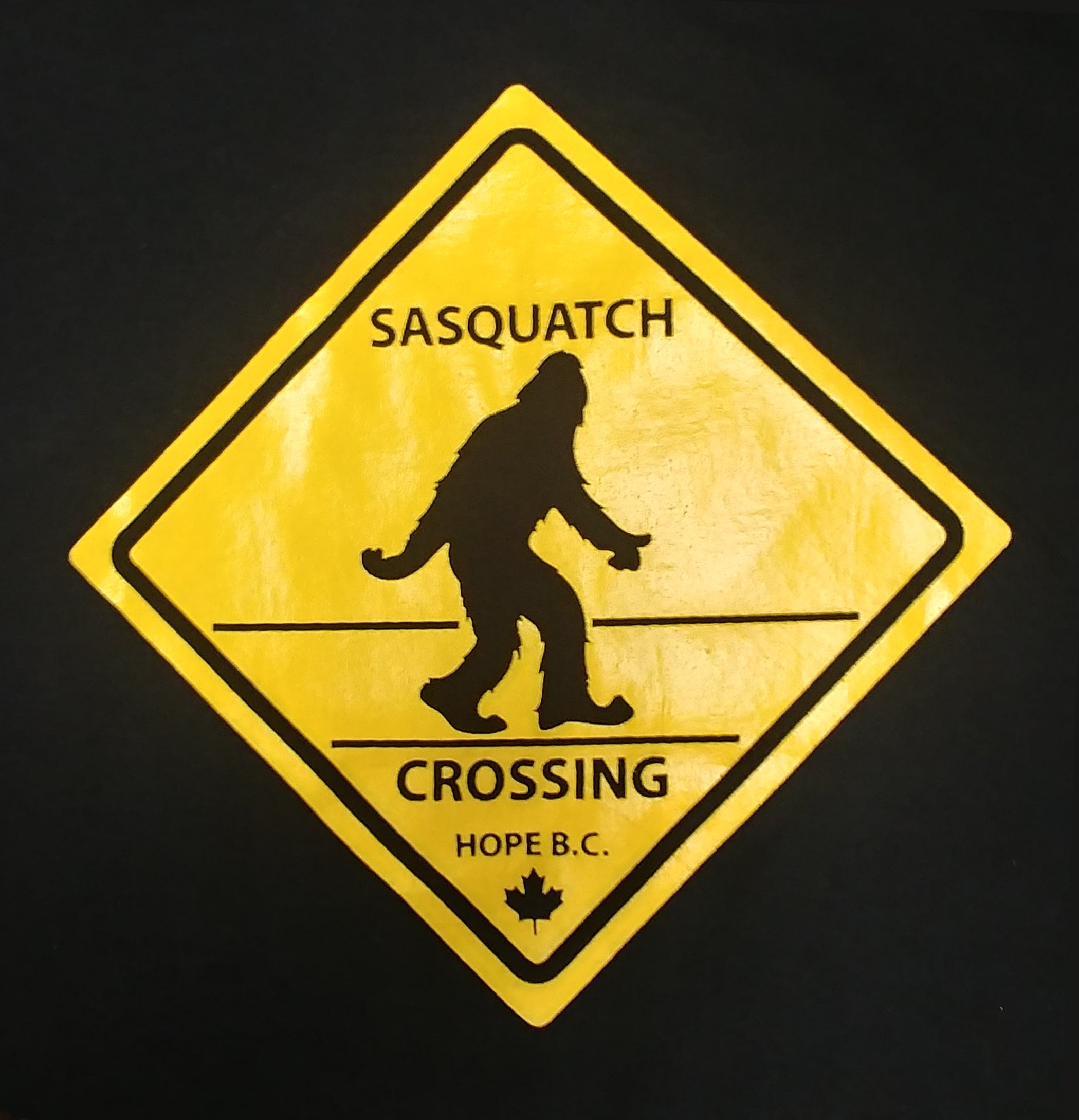 Men's T-Shirts - Sassy Crossing