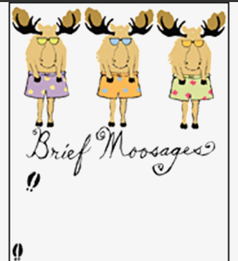 Magnetic List - Brief Moosages